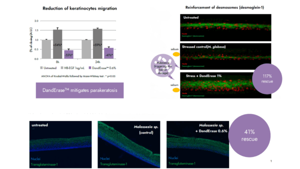 danderase barrier repair and keratinocyte regulation