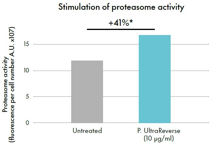 primalhyal ultrareverse enhancing proteasome activity