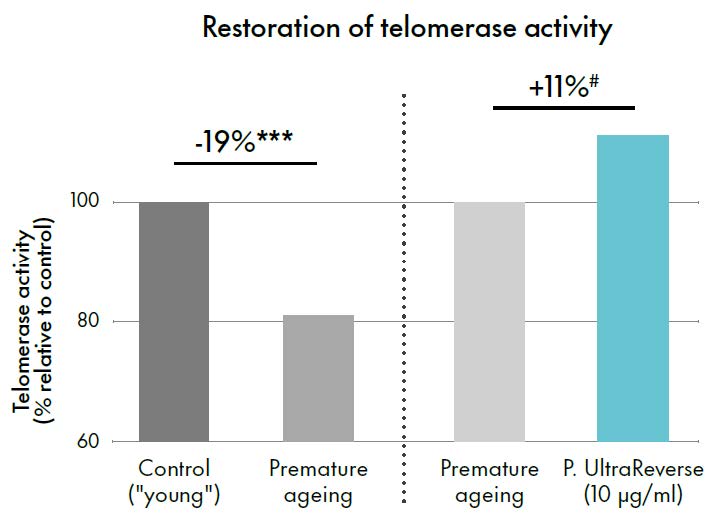 primalhyal ultrareverse restoring telomeres maintenance