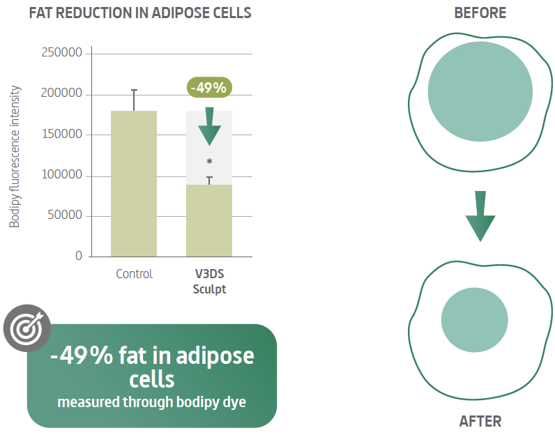 v3ds sculpt fat reduction in adipose cells