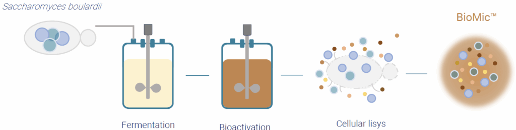 active cells biomic fermentate production process