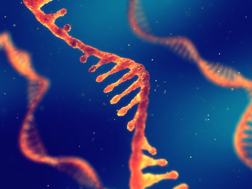rna research and therapy
