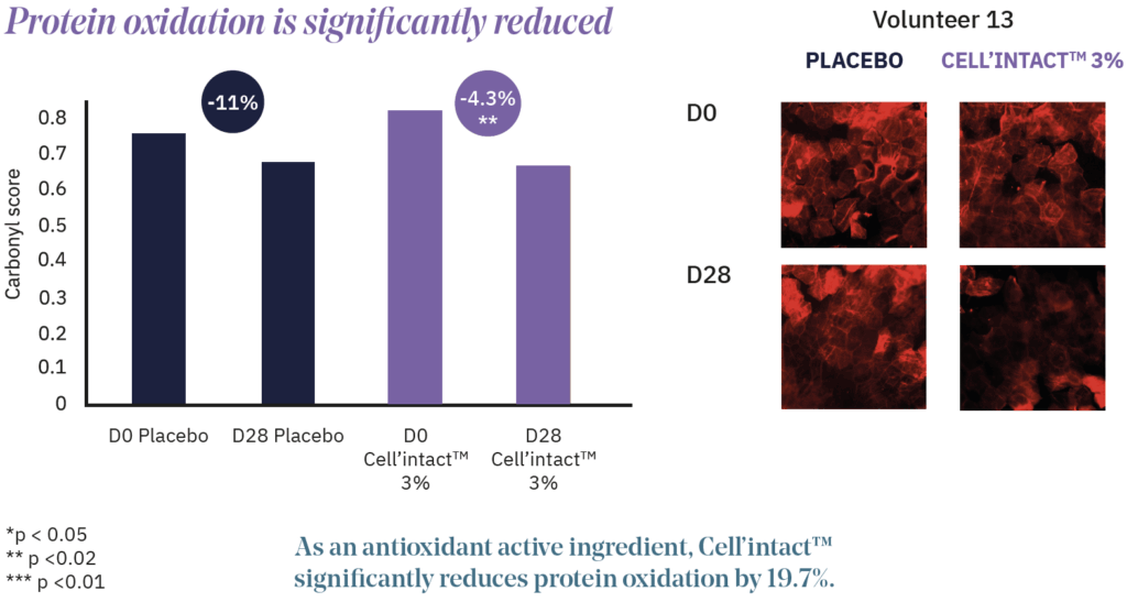 cell'intact protein oxidation