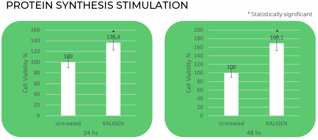 kalichem kaligen protein synthesis stimulation