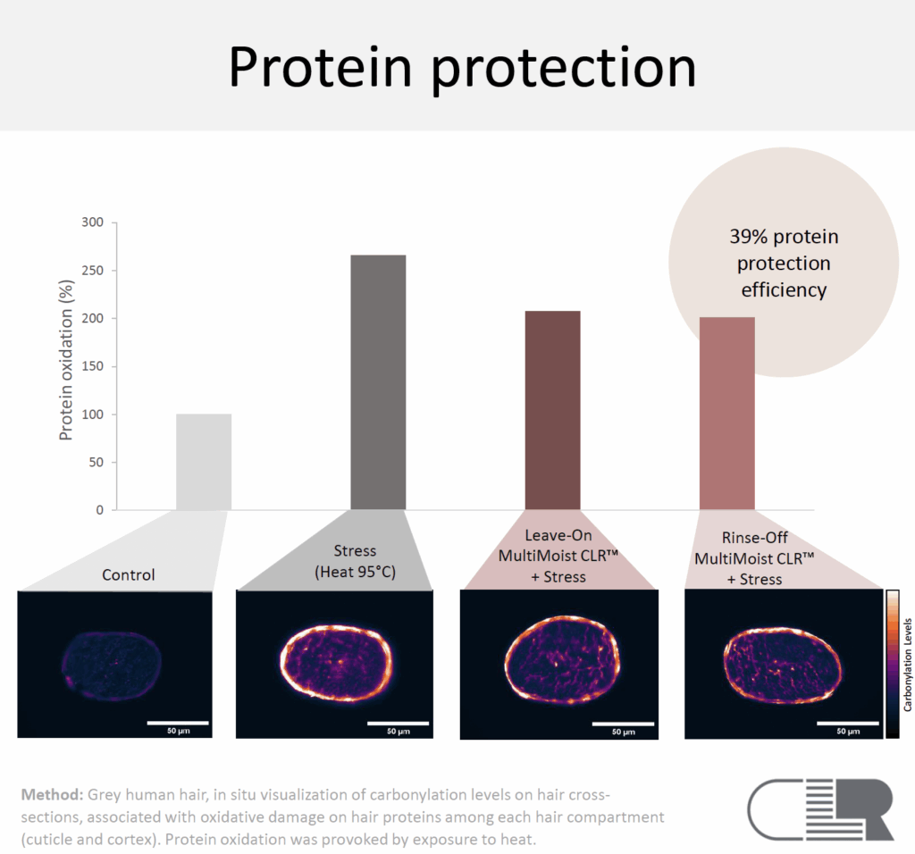 multimoist clr protein protection