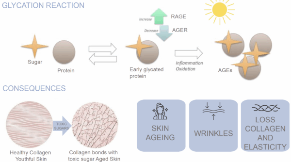 natura tec glycation reaction and consequences