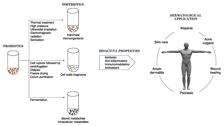postbiotic production benefits to skin health