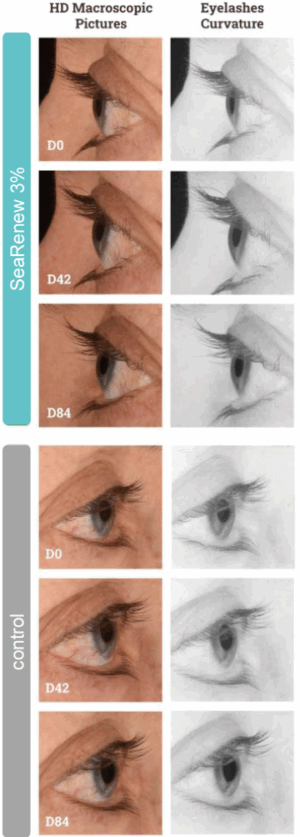 searenew lash stimulating activity 3