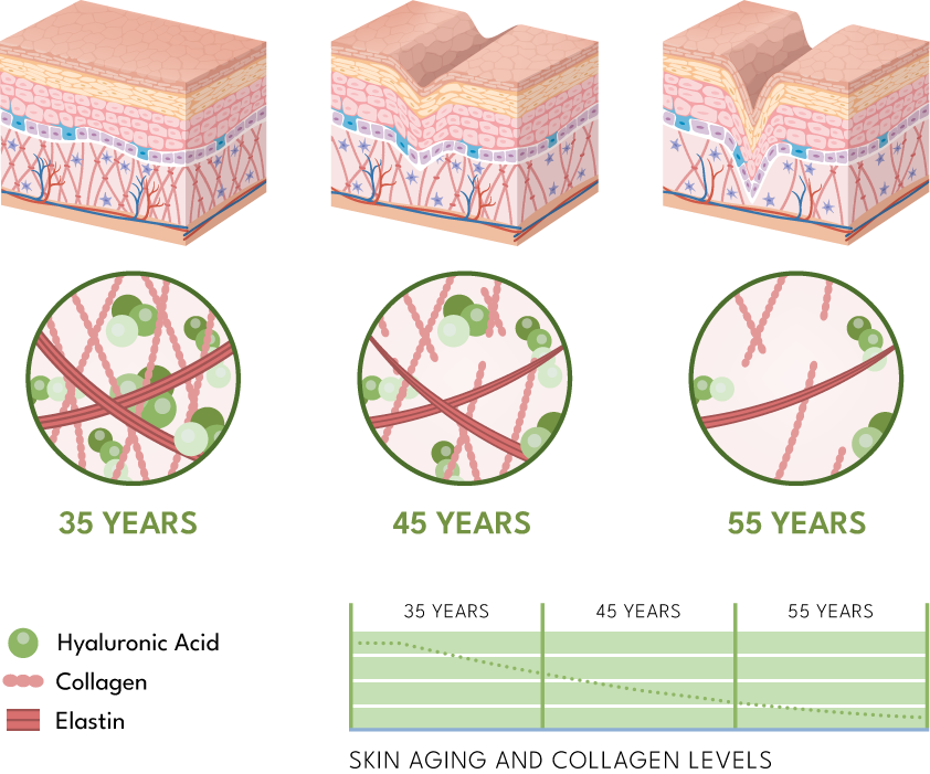 skin aging
