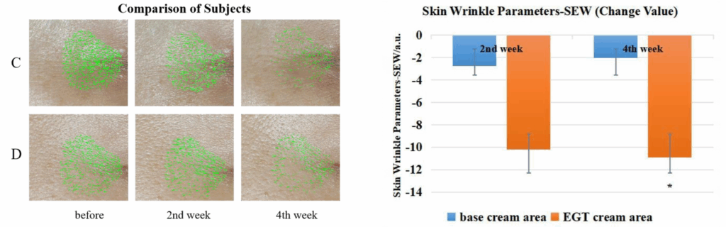 dr. ergo youth anti wrinkle clinical efficacy in vivo