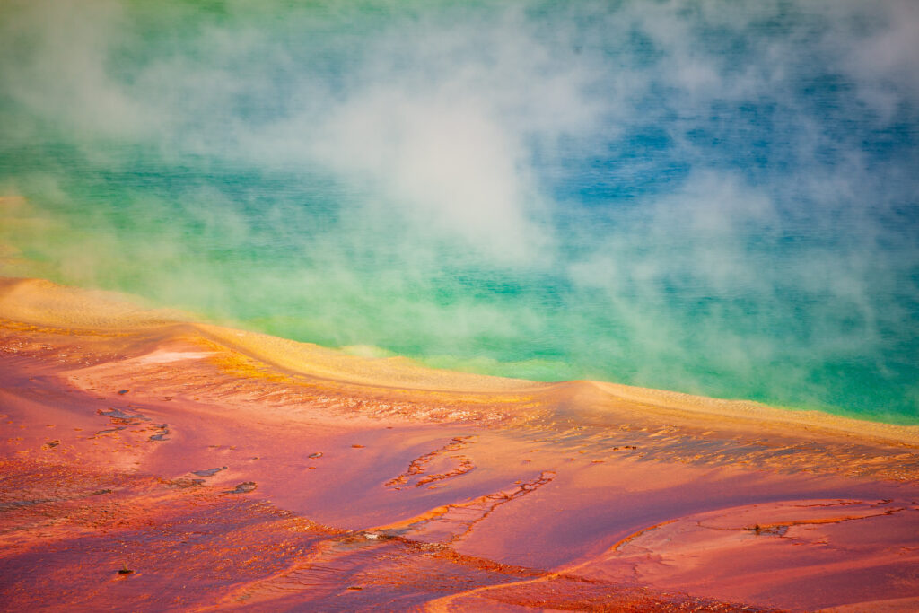 grand prismatic spring showing off its vivid colors in yellowstone national park
