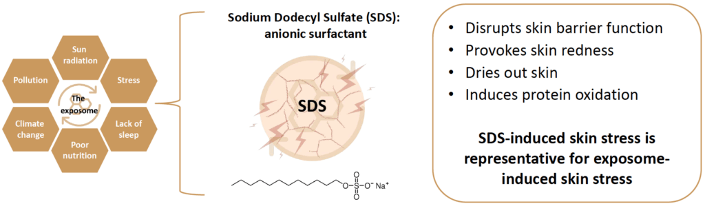 cefiraprotect clr exposome with sds 1