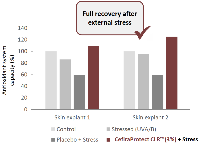 cefiraprotect clr improvement on skin's antioxidant potential