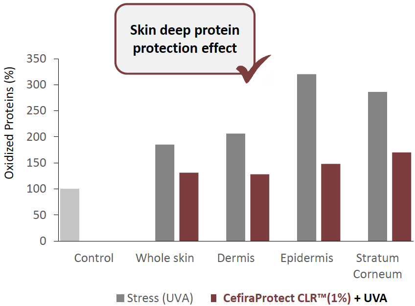 cefiraprotect clr skin deep protection effect