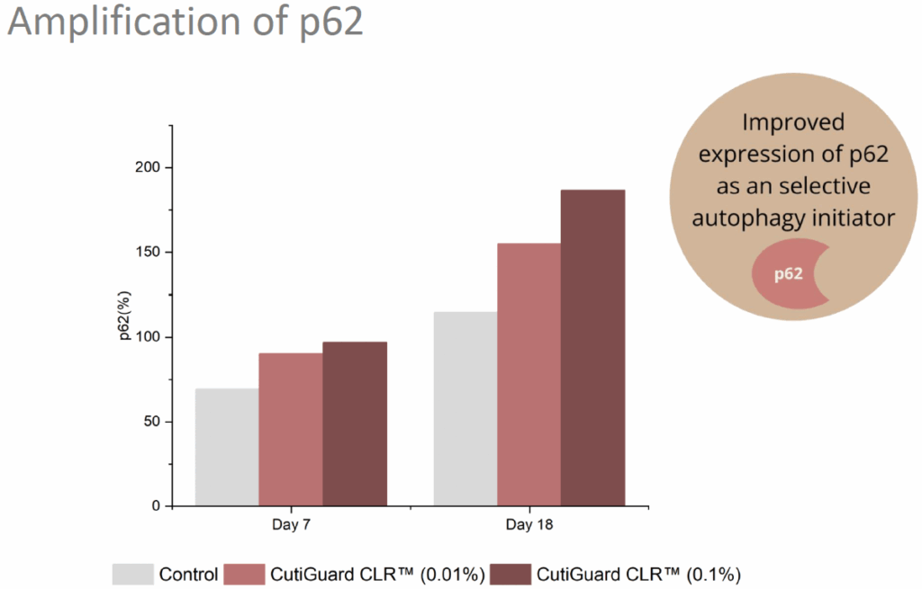 cutiguard clr amplification of p62