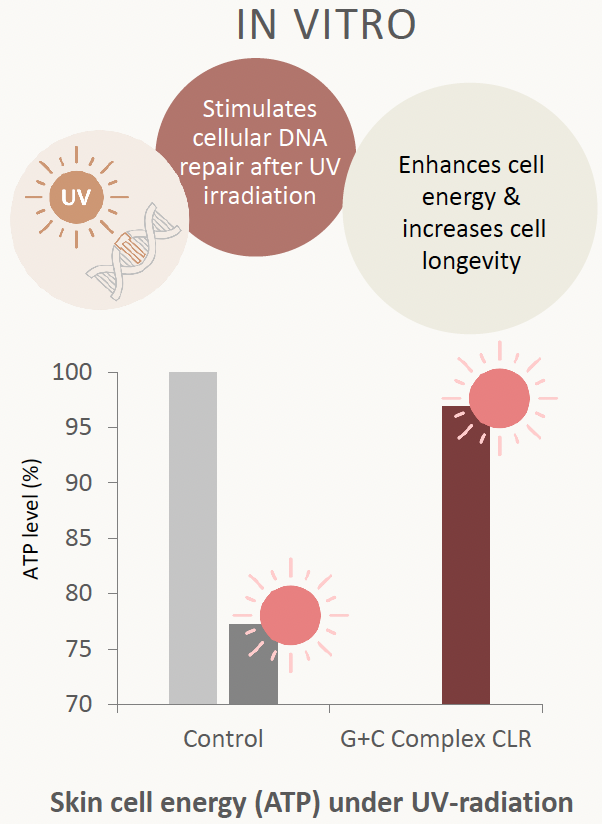 g+c complex skin cell energy (atp)
