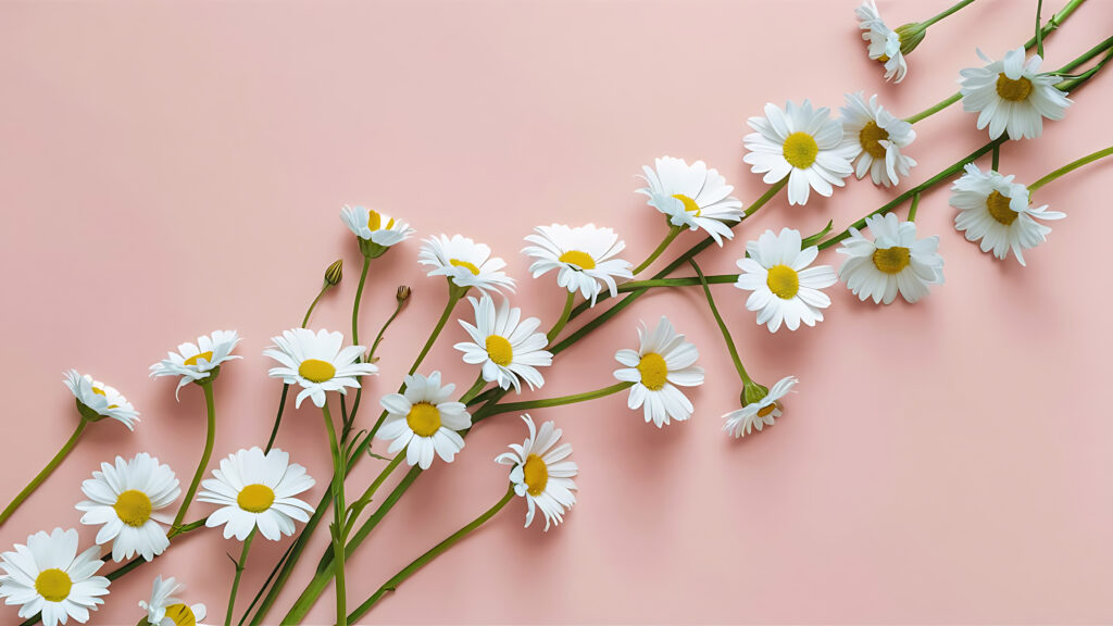 biotech bisabolol,bisabolol formulation,minimalist sensitive skin routine,soothing shampoo ingredient,sensitive scalp care active,sustainable bisabolol,bisabolol pH stability,bisabolol surfactant compatibility,how to use bisabolol across creams shampoos and serums,formulating clear shampoo with bisabolol for sensitive scalp,best soothing active for minimalist sensitive-skin line,fermentation-derived bisabolol vs natural bisabolol from candeia,recommended use levels of bisabolol in scalp care,pH and temperature stability of biotech bisabolol in cosmetics,bisabolol for itchy scalp and post-shave redness,single-active sensitive skin and scalp franchise