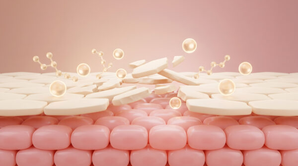 skin layer with scattered disc cell and molecule breaking apart from surface barrier