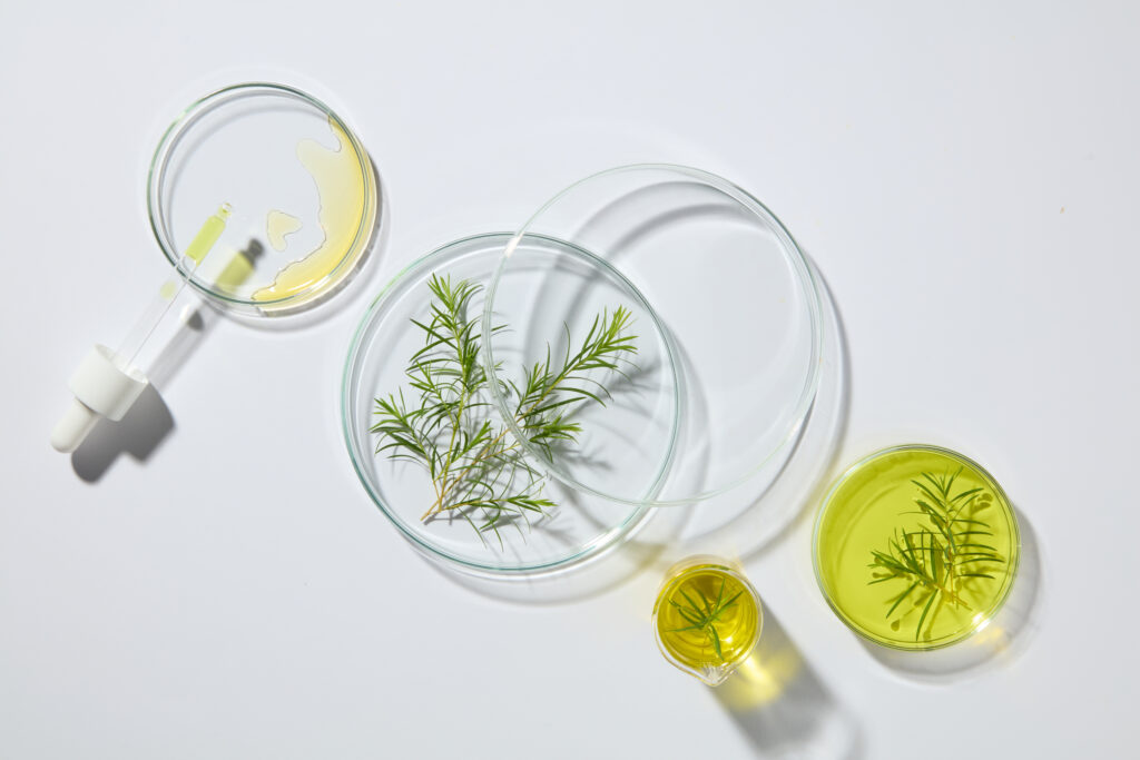 a stack of two glass petri dishes arranged with a dropper, a beaker and other petri dishes. top view. natural medicine, cosmetic research, bio science, organic skin care products