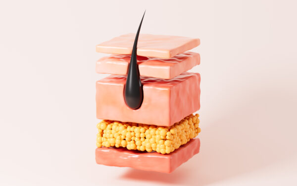 human hair and skin tissue, 3d rendering.