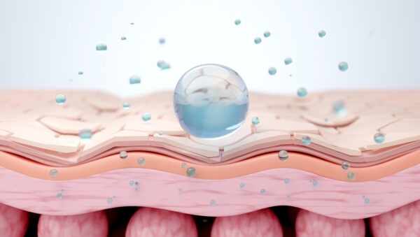 hyaluronic acid on skin cross section showing absorption layers